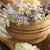 Aroma Therapy